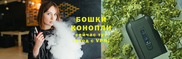 гашик Аркадак