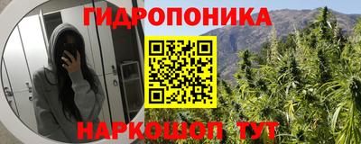 a pvp Обнинск
