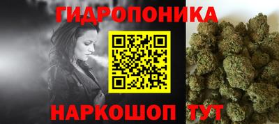 a pvp Обнинск