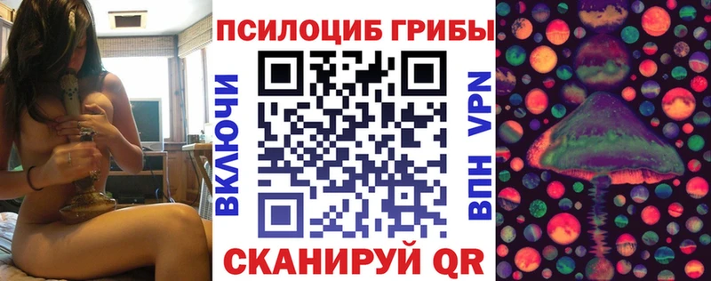 Галлюциногенные грибы GOLDEN TEACHER Чернушка