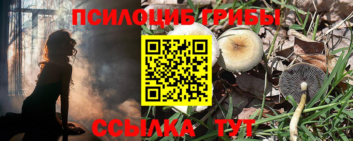 Галлюциногенные грибы мухоморы  Вход с VPN  Чернушка 
