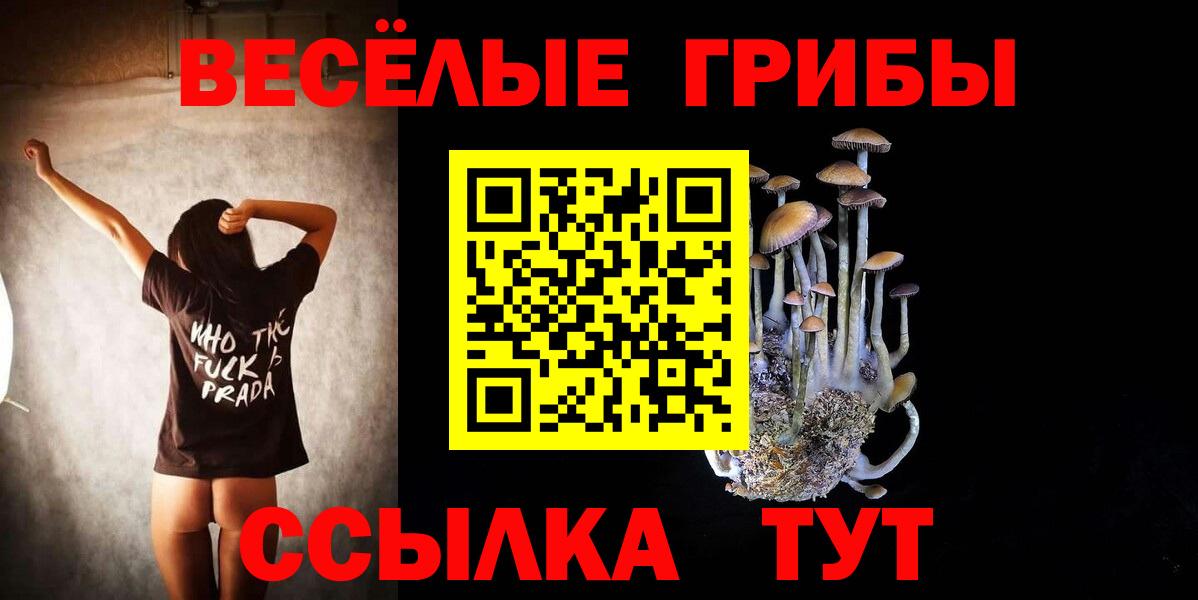 Псилоцибиновые грибы ЛСД Чернушка